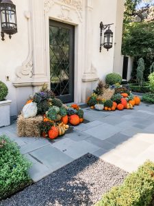 pumpkin displays