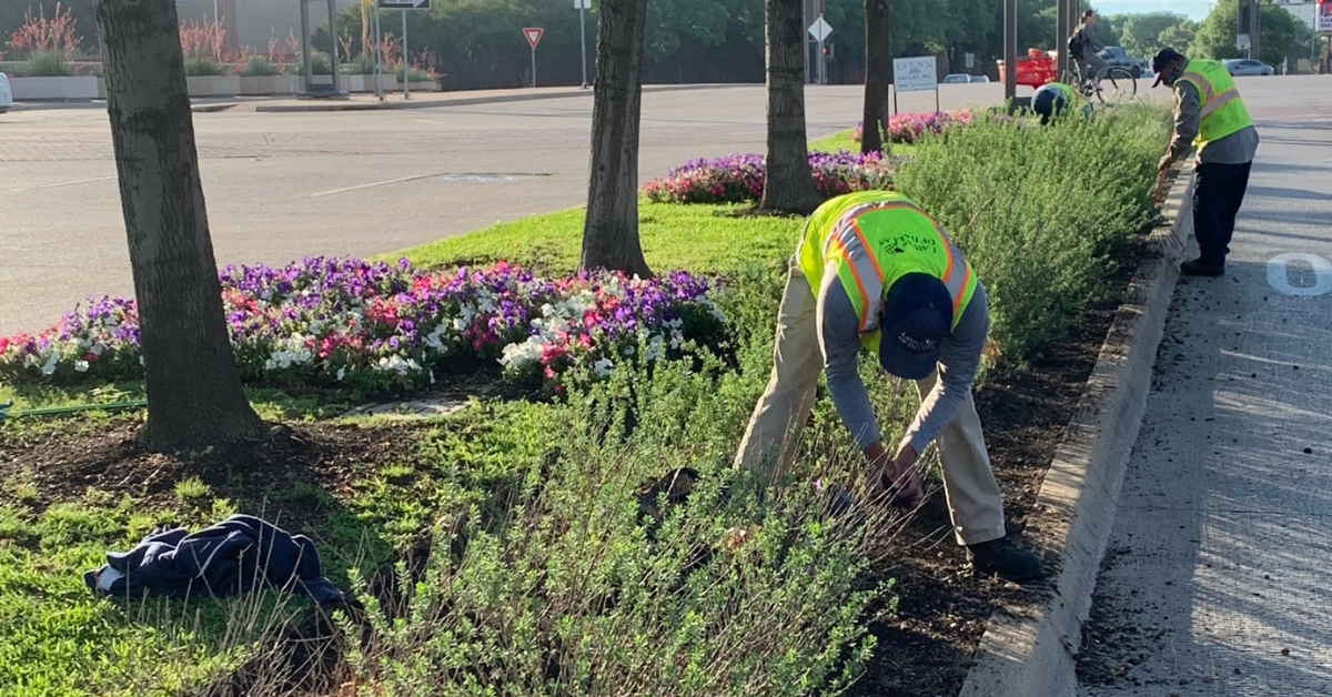 Landscaping is an art that requires multiple skills and abilities to create and maintain beautiful outdoor spaces.