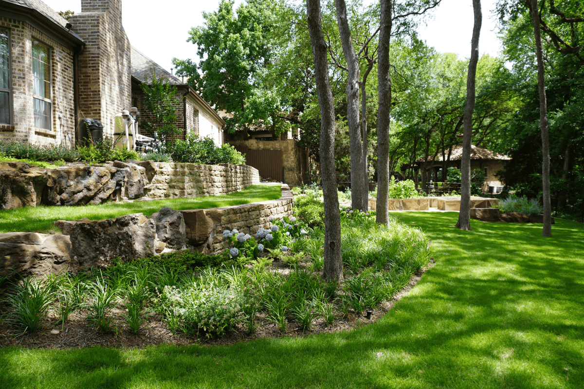 residential lawn backyard planting beds and shade trees