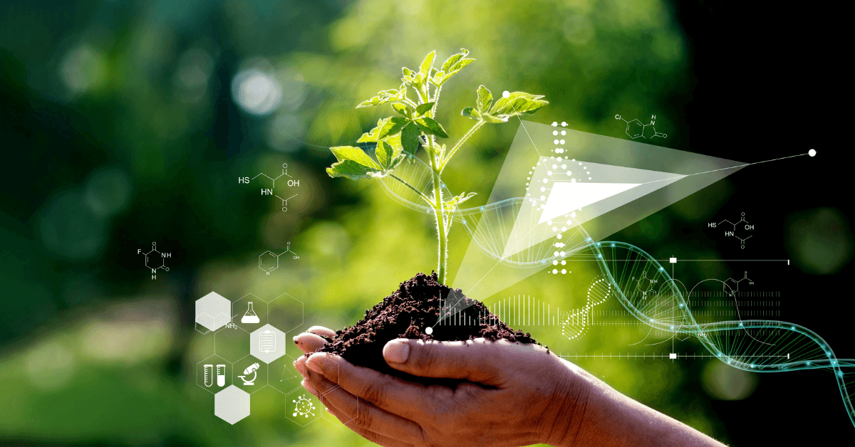 How Plant Growth Regulators Can Improve Your Summer Landscape