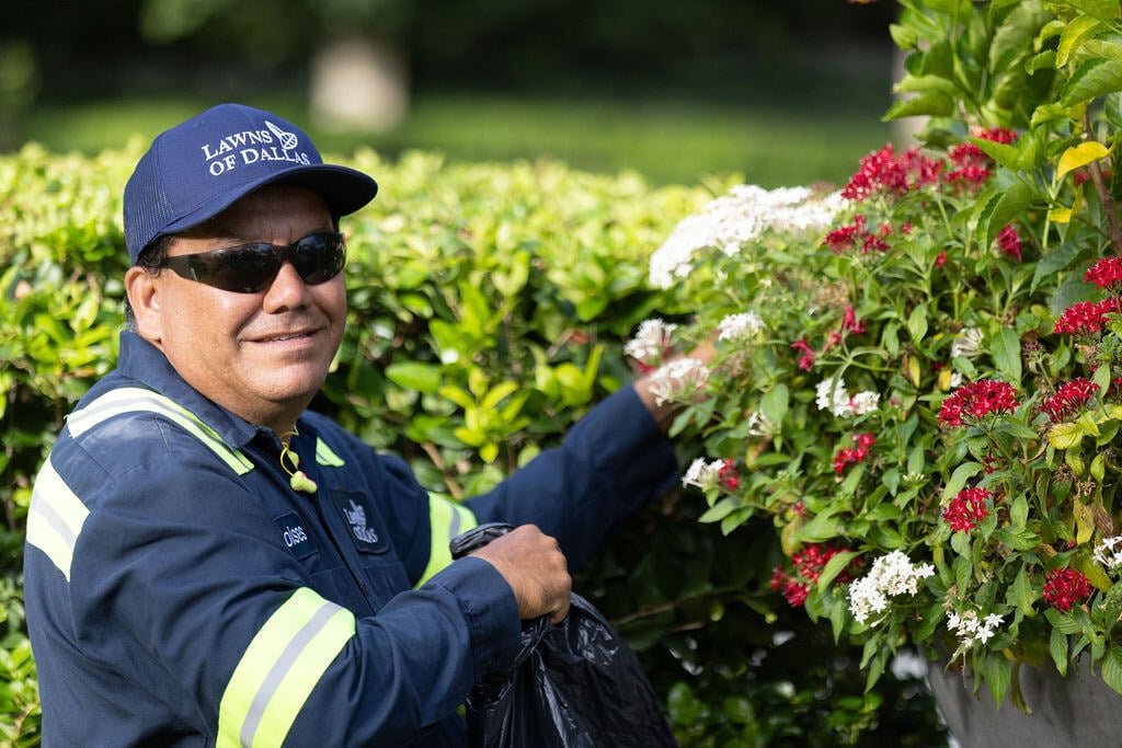 Commercial Landscape Maintenance