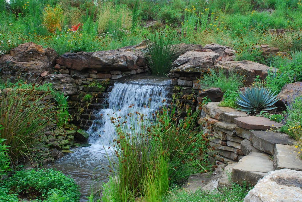 Drought-Tolerant Landscaping Tips for Dallas-Fort Worth Homeowners