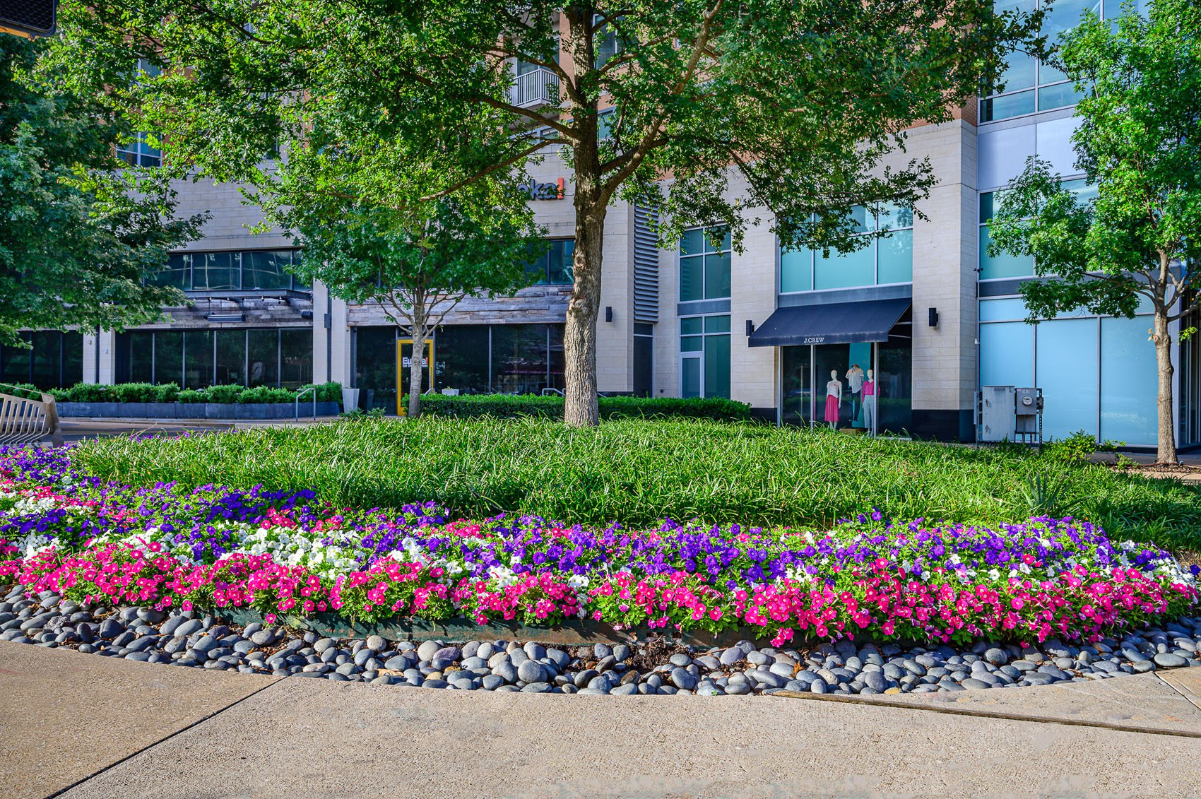 5 Commercial Landscaping Trends Enhancing Your Business Curb Appeal