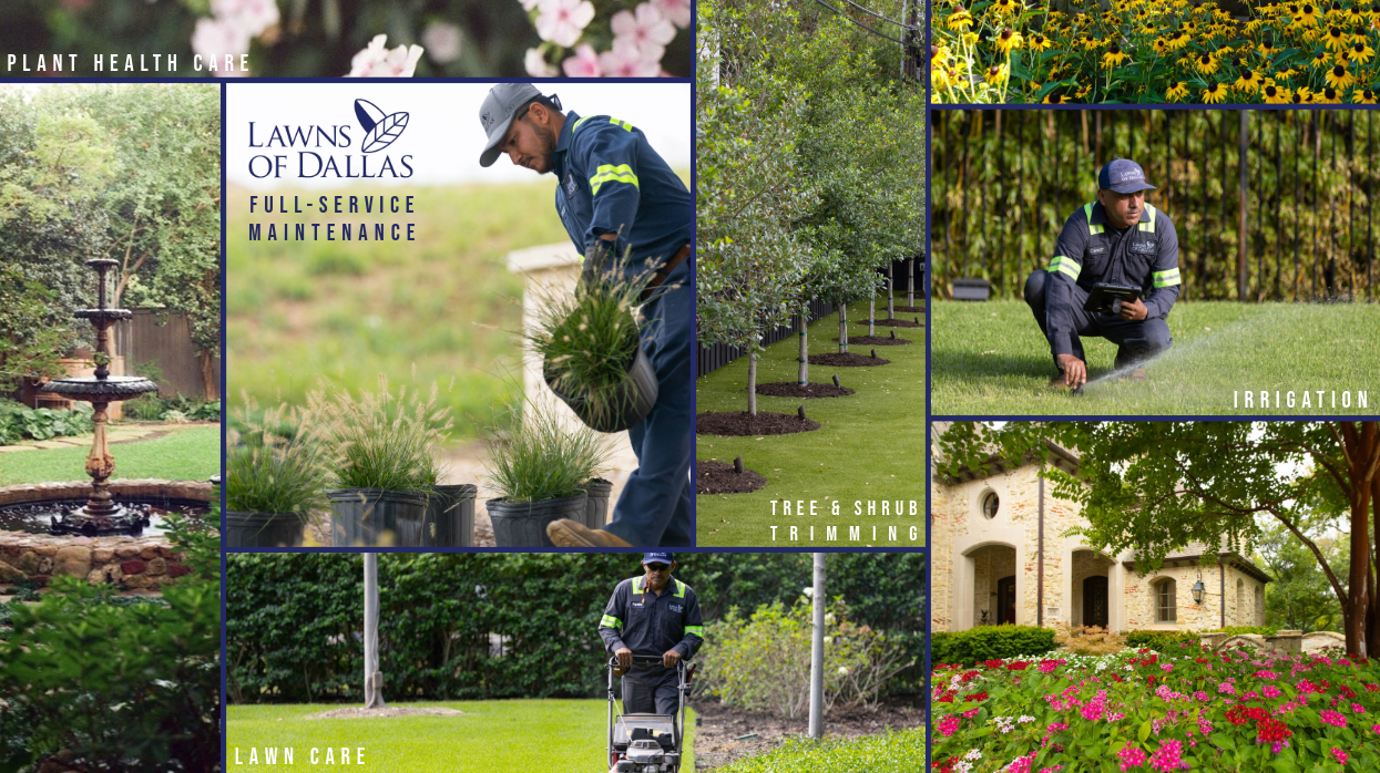 Portal Ad - Maintenance Collage