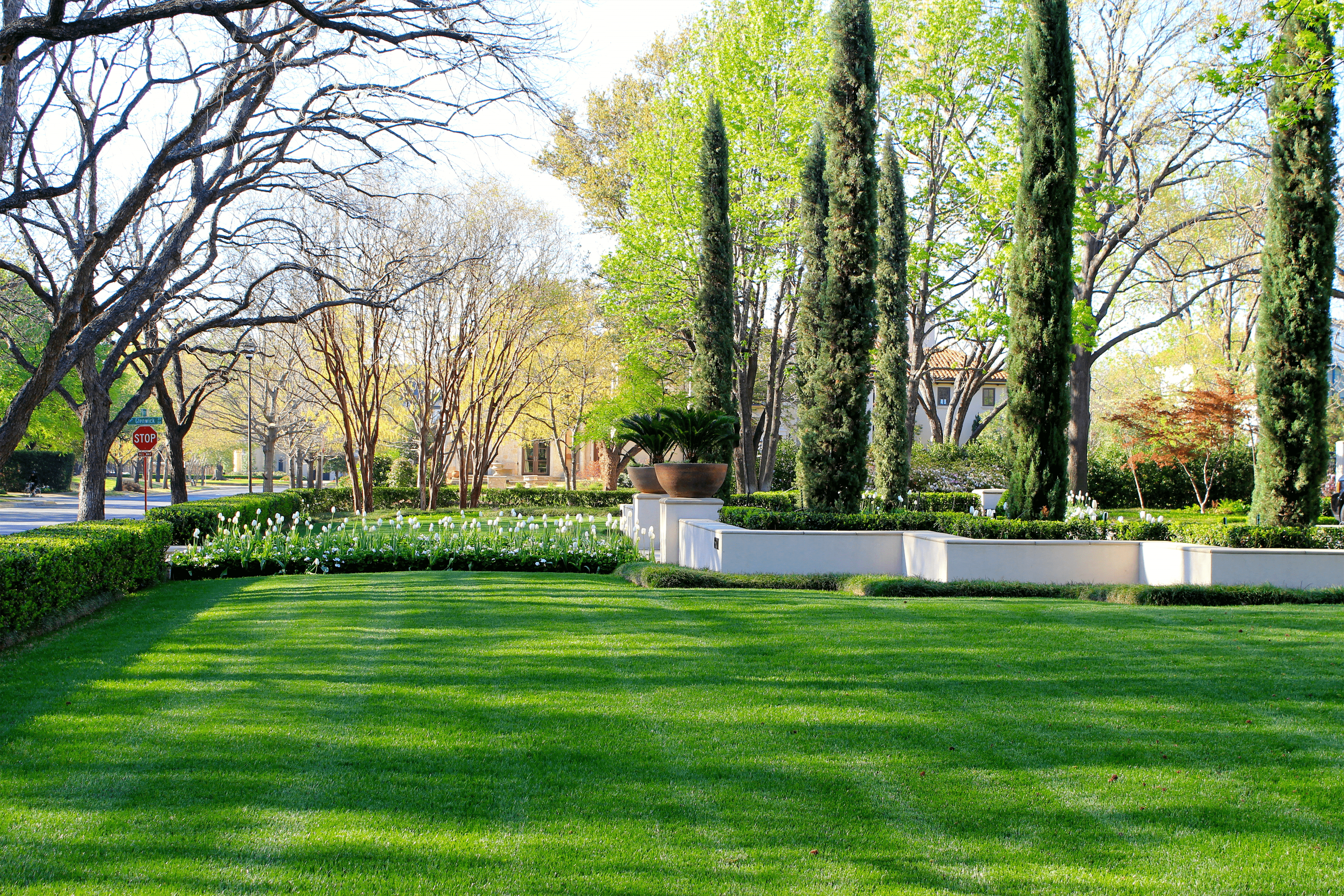 nice lawn residential estate trees retaining wall evergreens