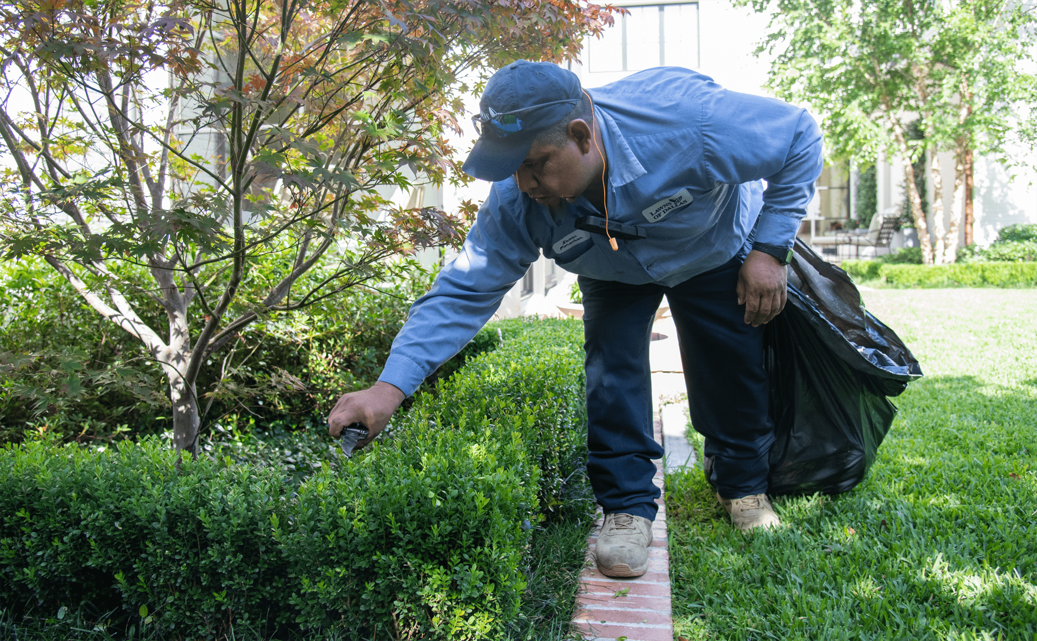 residential maintenance crews pruning cleanup 4