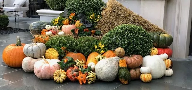 Fall Pumpkin Displays are here!