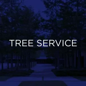 commercial tree service