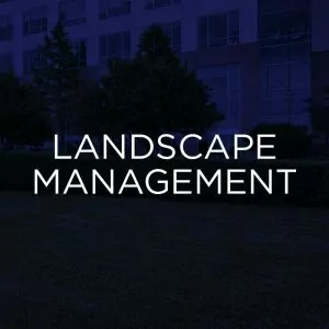 commercial landscape management