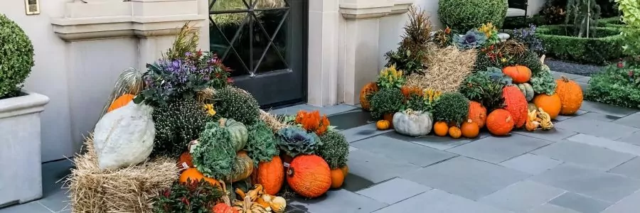 Pumpkin Fall Displays are here!
