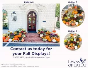 Fall displays