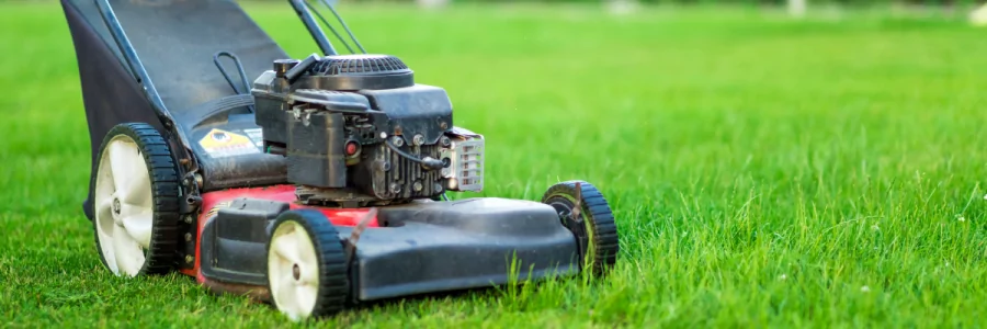 The Benefits of Regular Lawn Maintenance Services for the Health and Appearance of Your Lawn